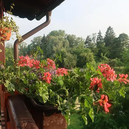 Goscinne Oaza Homestay