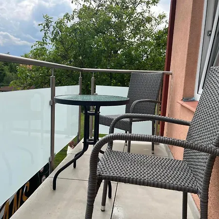 Goscinne Oaza Homestay *