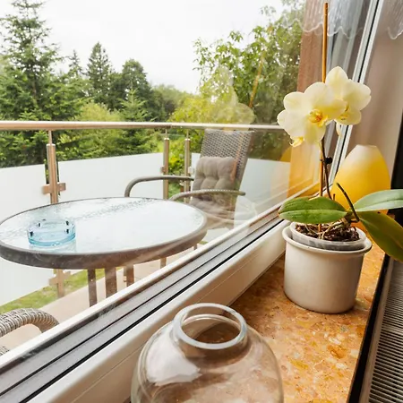 Goscinne Oaza Homestay